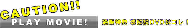 特典DVD PLAY NOW